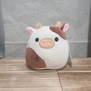 4.5 squishmallow